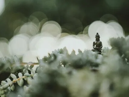 Calling In Clarity And Inviting In Your Own Wisdom