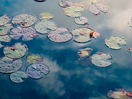 Developing Compassion For Self & Others 