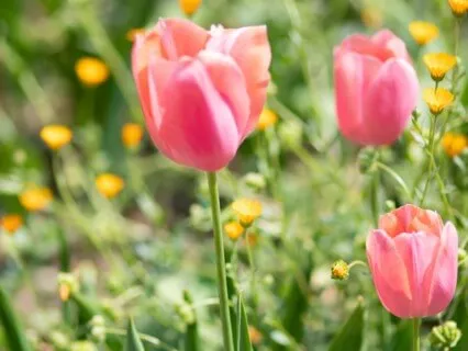 Meditation For Confidence