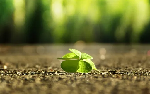 Meditation For Confidence