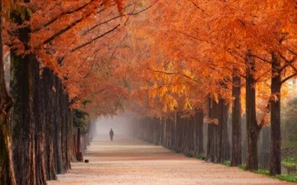 Meditation For Confidence