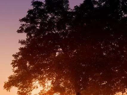 Meditation For Connecting To Spirit Guides