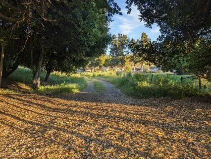 Meditation For Connecting To The Spirit Of Your Business