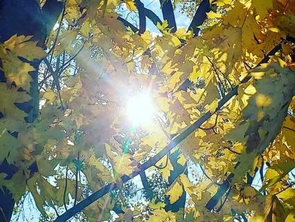 Meditation For Connecting To The Witness Within