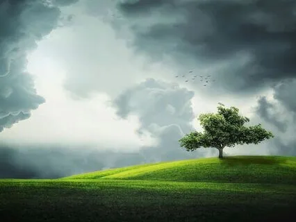 Meditation For Connecting To Your Highest Self