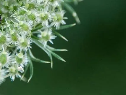 Meditation For Connecting With Your Inner Child