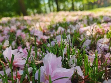 Meditation Music For Courage