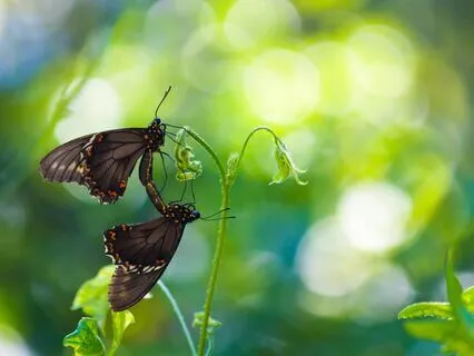 Meditation For Creating A Positive Connection To A Loved One