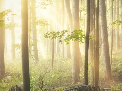 Meditation For Creativity: The Box