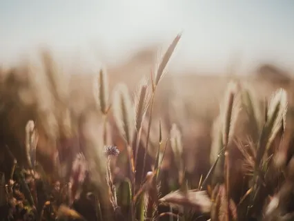 Meditation For Crystal Clear Goal Setting