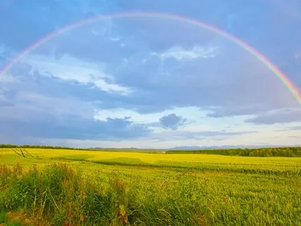 Cultivating Confidence