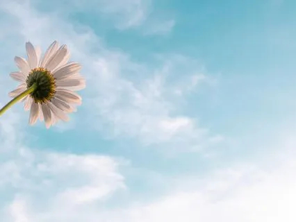 Meditation For Cultivating Hope