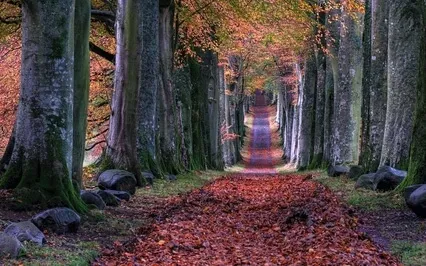 Meditation For Cultivating Patience