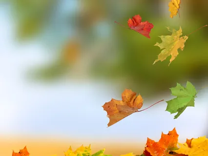 Meditation For Daily Manifestation