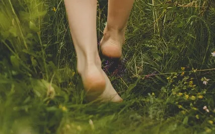 Meditation For Daydreamers