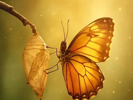 Meditation For Dealing With Change