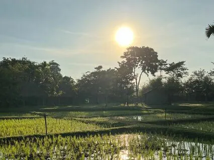 Meditation for Dealing with FOMO (Fear of Missing Out)