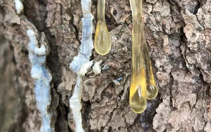 Meditation For Dealing With Strong Emotions