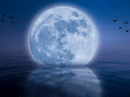 Meditation For Deep Body Relaxation