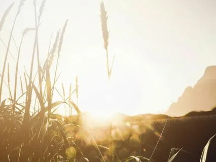 Meditation For Deep Inner Peace And Grounding