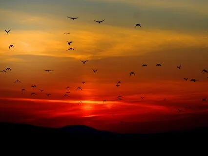 Meditation For Deep Sleep, Relaxation And Replenishment