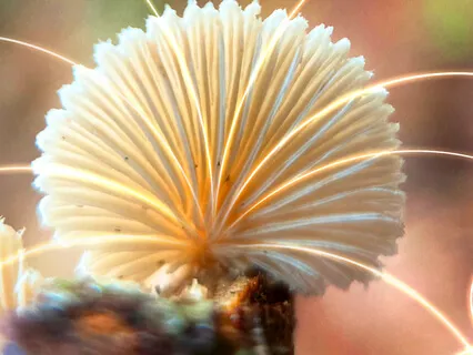 Meditation For Deep Uninterrupted Sleep