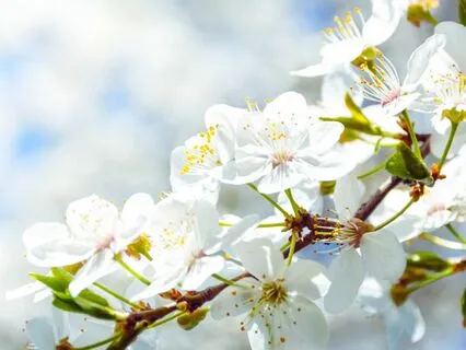 Meditation For Deeper Awareness & Presence