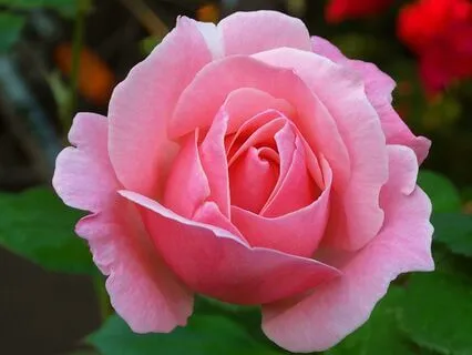 Meditation For Deeper Healing