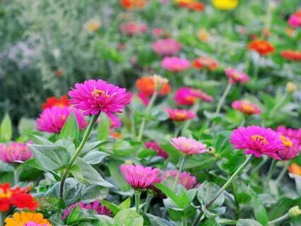 Meditation For Depression