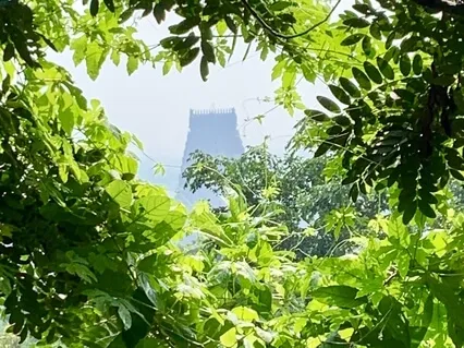 Meditation For Developing Focus