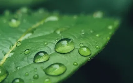 Meditation For Difficult Emotions