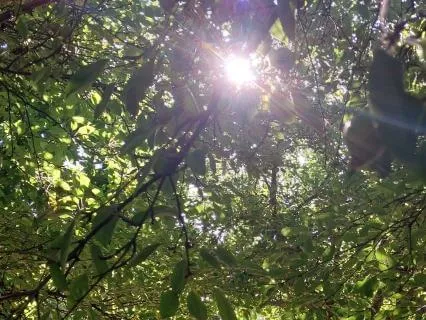 Meditation For Difficult Feelings