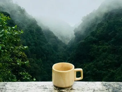 Meditation For Digestion And Nourishment