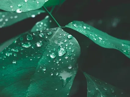 Meditation For Ditching Limiting Beliefs & Negativity 