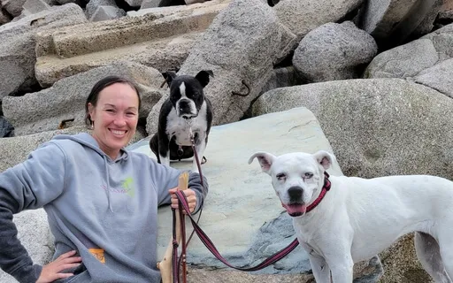 Meditation For Dog Lovers