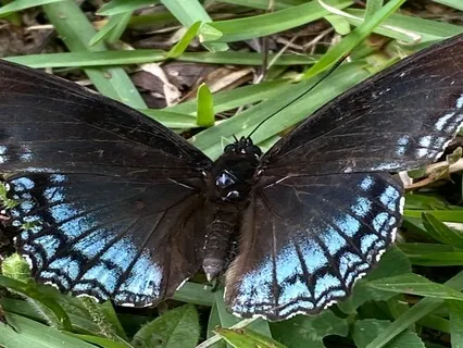 Meditation For Ease In The Body