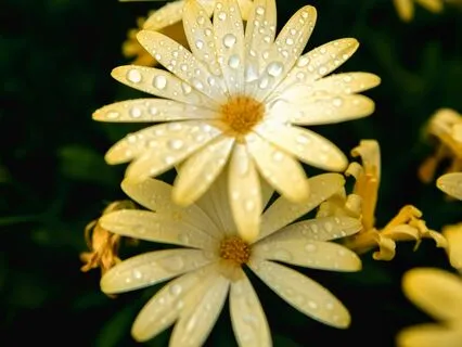 Meditation For Embracing Change Part 1