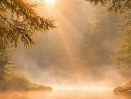 Meditation For Emotional Awareness & Calm