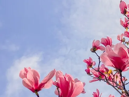 Meditation For Emotional Healing