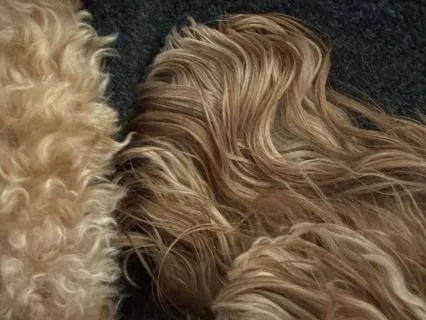 Meditation For Emotional Or Physical Pain