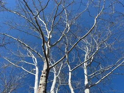 Meditation For Emotions- Frustration