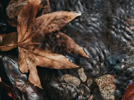 Meditation For Emptying & Release (Samhain)