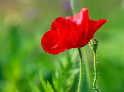 Meditation For Enhanced Focus