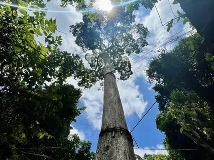 Meditation For Enjoyment 