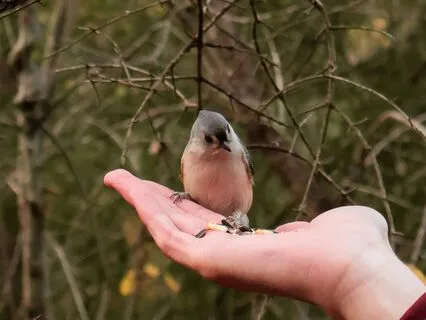 Meditation For Feeling Held Through Grief