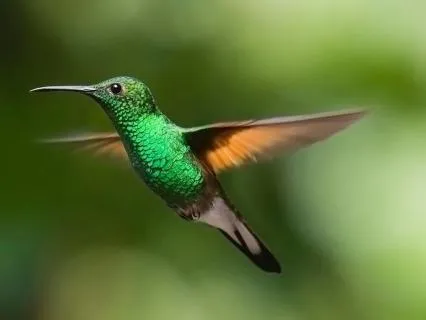 Meditation For Feeling Responsible For Everyone's Emotions