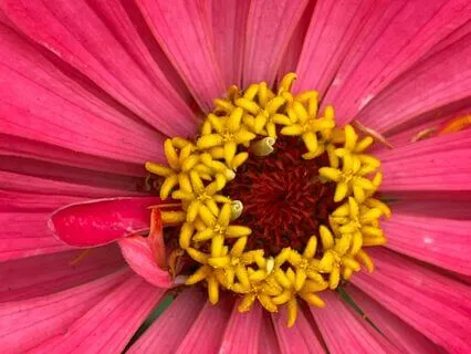 Meditation For Feeling Safe And Deeply Relaxed