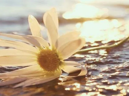 Meditation For Filling Up The Inner Peace Bank