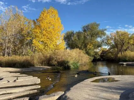 Meditation For Finding Balance Around The Autumn Equinox