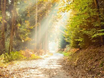 Meditation For Finding Yourself